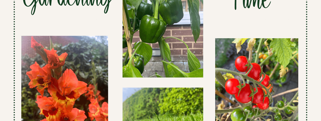 Gardening Tasks to Tackle in August