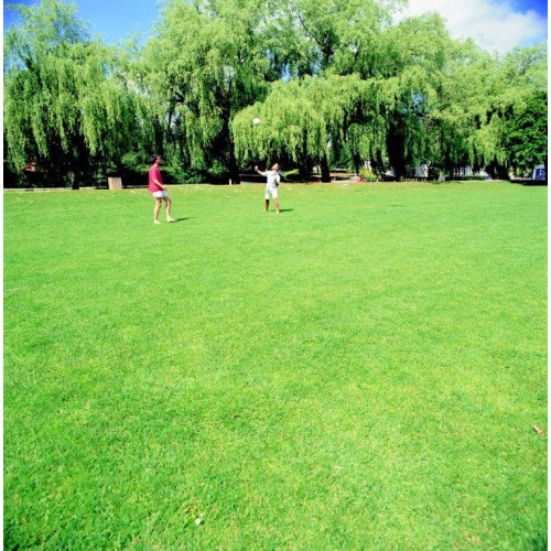 PM51 - Hard Wearing Lawns (With Ryegrass) - 10kg