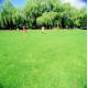 PM51 - Hard Wearing Lawns (With Ryegrass) - 10kg