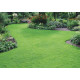 PM52 - Fine Lawns (Without Ryegrass) - 20kg