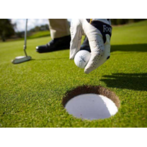PM10 - Golf and Bowling Greens (Without Ryegrass) - 20kg
