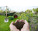 Gardening & Landscaping Topsoil