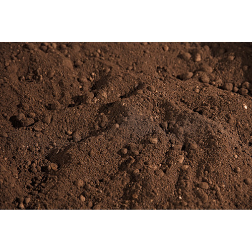 Organic Enriched Topsoil - 25kg Bag