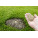 Grass Seed and Turf