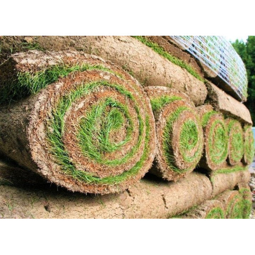 Landscaping Turf