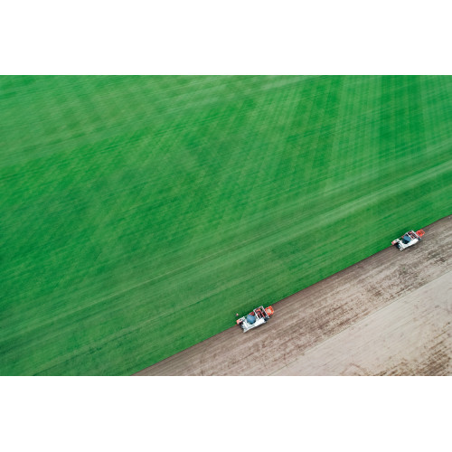 Landscaping Turf