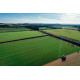Landscaping Turf