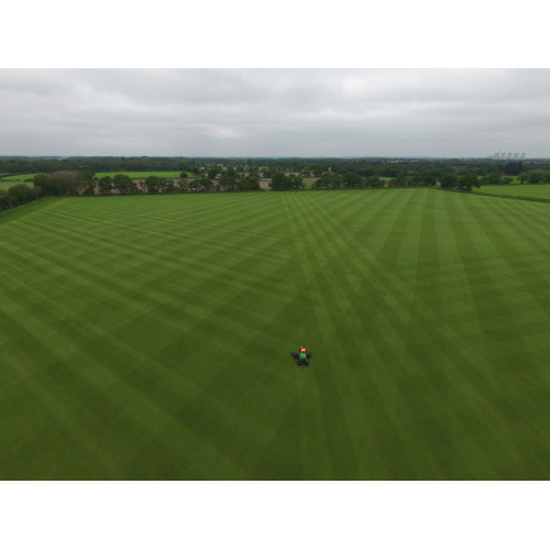 Landscaping Turf