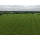 Landscaping Turf