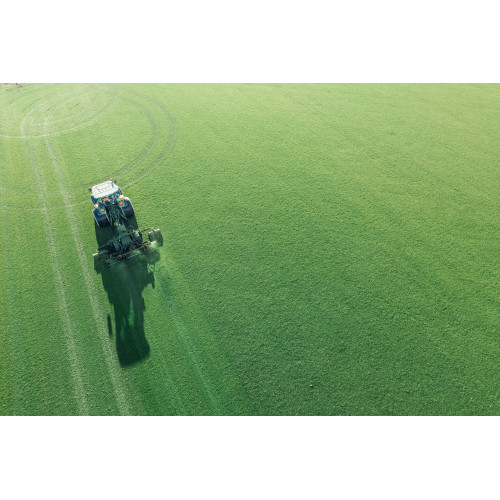 Landscaping Turf