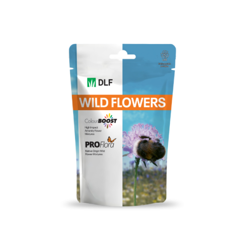 ColourBoost Wildflower Range