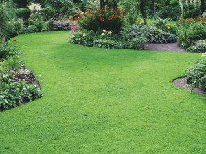 Spring renovations