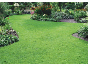 Spring renovations