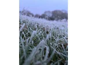 Winter Gardening: The Magic of Mulch in Cold Weather