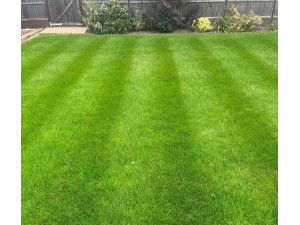 The Benefits of October Fertilisation